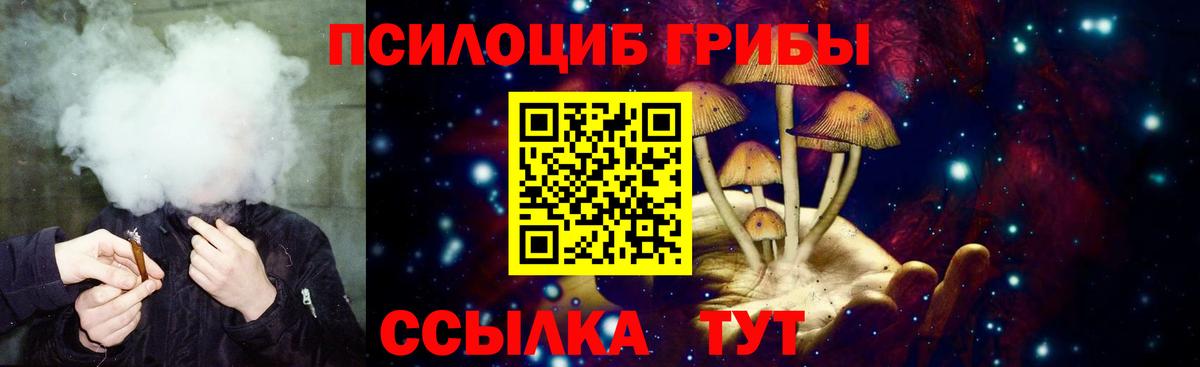 Галлюциногенные грибы мухоморы Жигулёвск